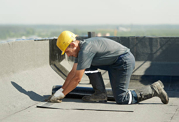 Best Geographic-Specific Insulation Services in Tipton, IN