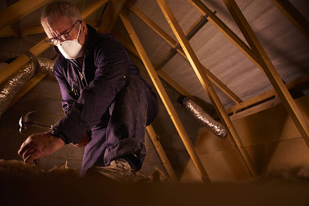 Best DIY Insulation Kits and Guidance in Tipton, IN