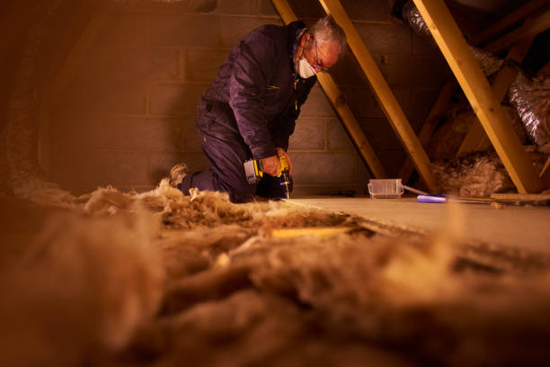 Best Eco-Friendly Insulation in Tipton, IN